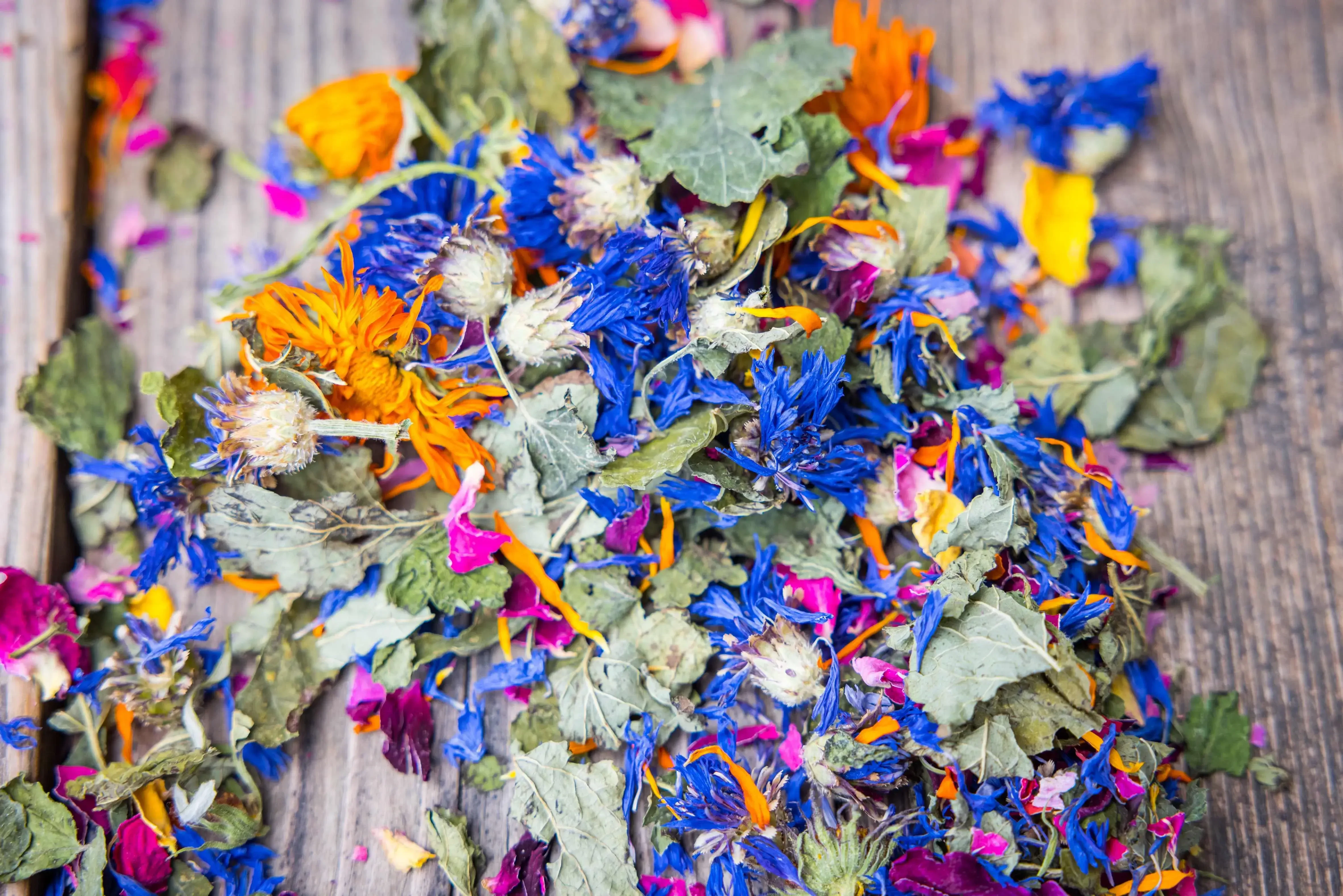 Hollersbacher Kräutergarten Blüten und Kräuter beim Trocknen