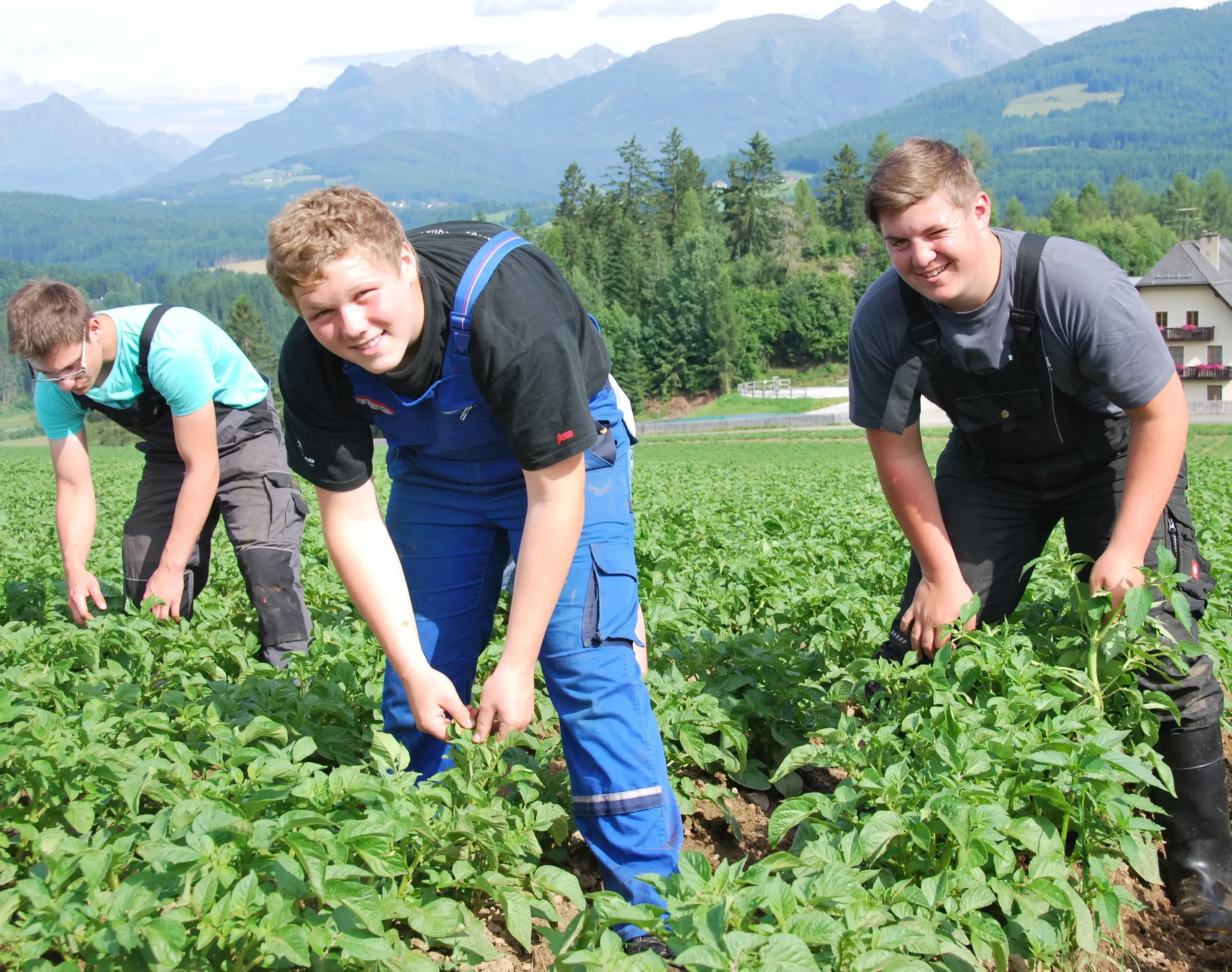 LFS Tamsweg Auf unseren Feldern bauen wir Lungauer Eachtling und verschiedene Getreidesorten (Lungauer Tauernroggen, Binkel,...etc.) an – regionale Qualität, die man schmeckt.