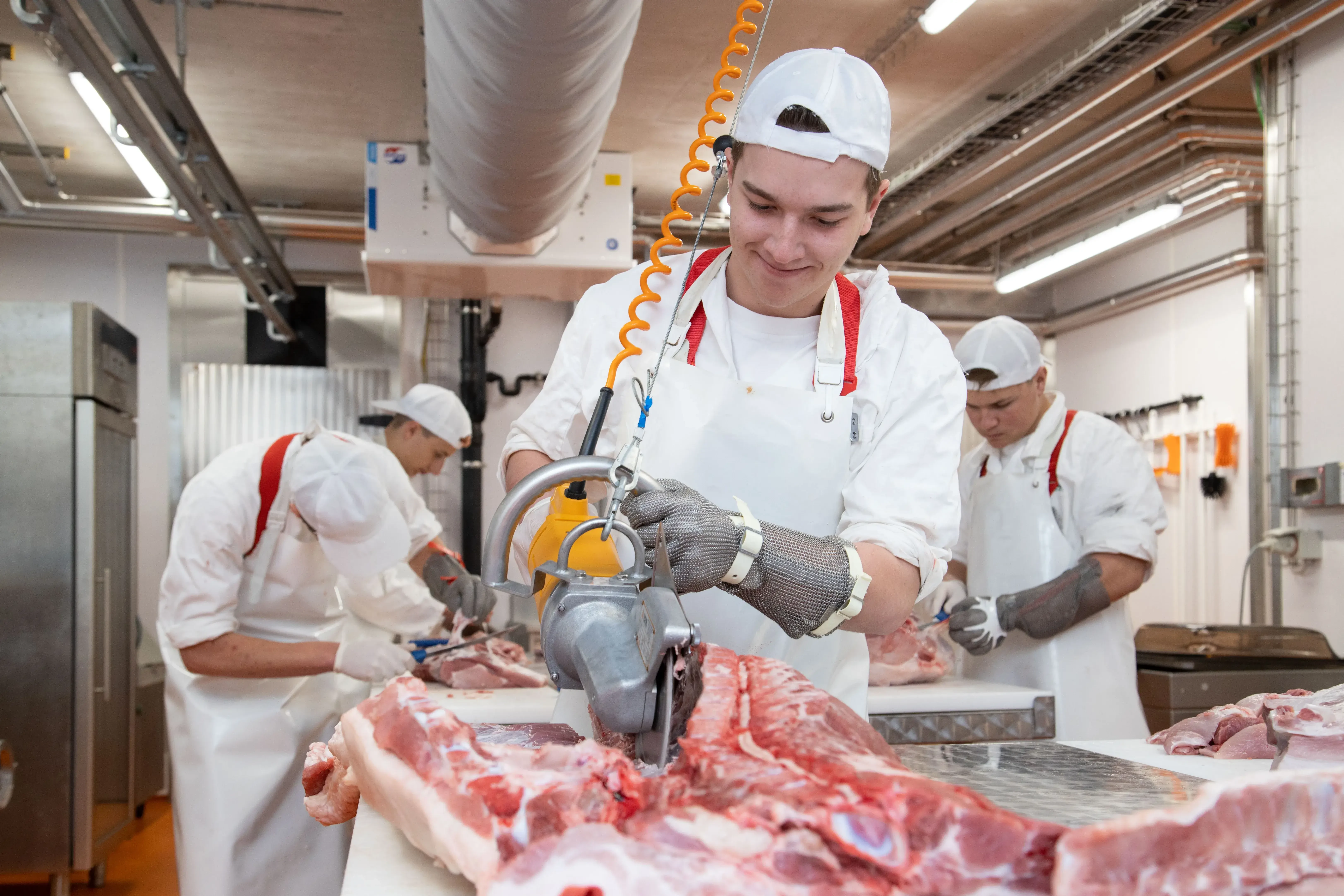 LFS Tamsweg. Ergänzend werden jährlich etwa 45 Mastferkel aufgezogen, die in unserer modernen Schul-Metzgerei gemeinsam mit den Schüler*inen verarbeitet und großteils in der Schulküche verwendet werden.