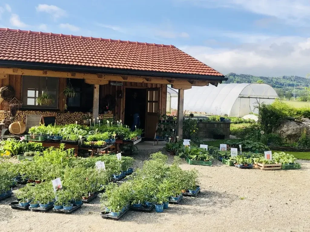 Pertiller Hofladen Kräuter regionales Gemüse