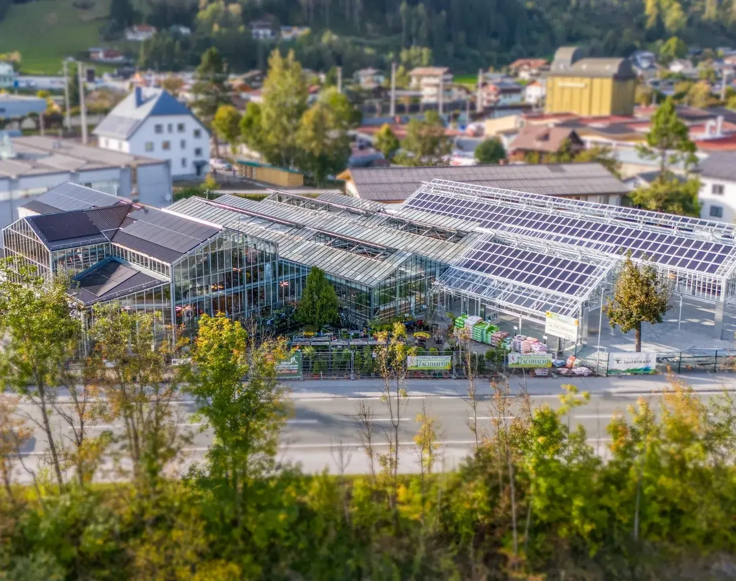 Gartencenter Zachhalmel in St Johann Pongau regionale Blumen aus Saluzburg kaufen