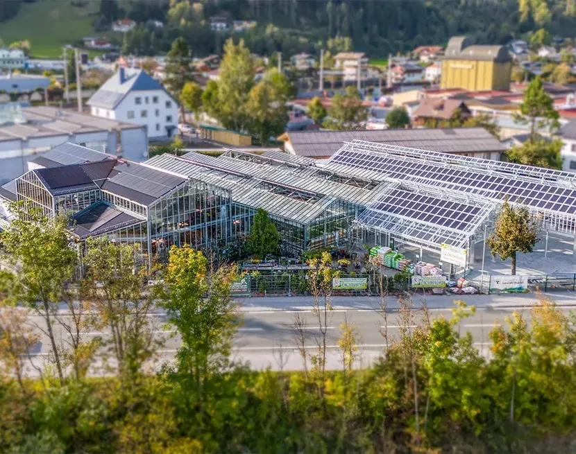 Gartencenter Zachhalmel St. Johann garantiert regionale Blumen und Zierpflanzen aus Salzburg - hier erhältlich