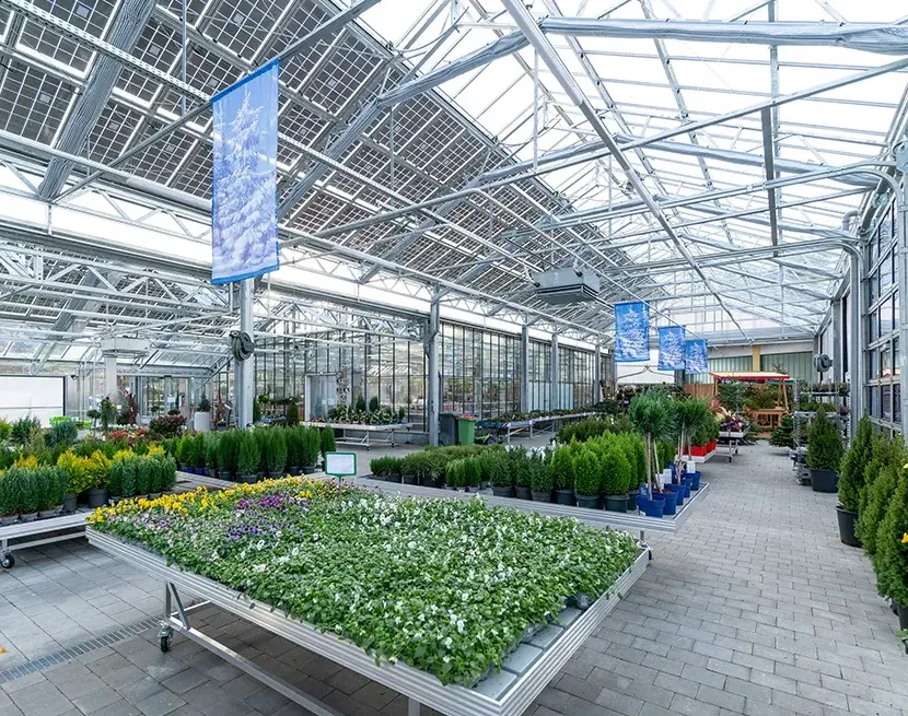 Gartencenter Zachhalmel St. Johann garantiert regionale Blumen und Zierpflanzen aus Salzburg - hier erhältlich