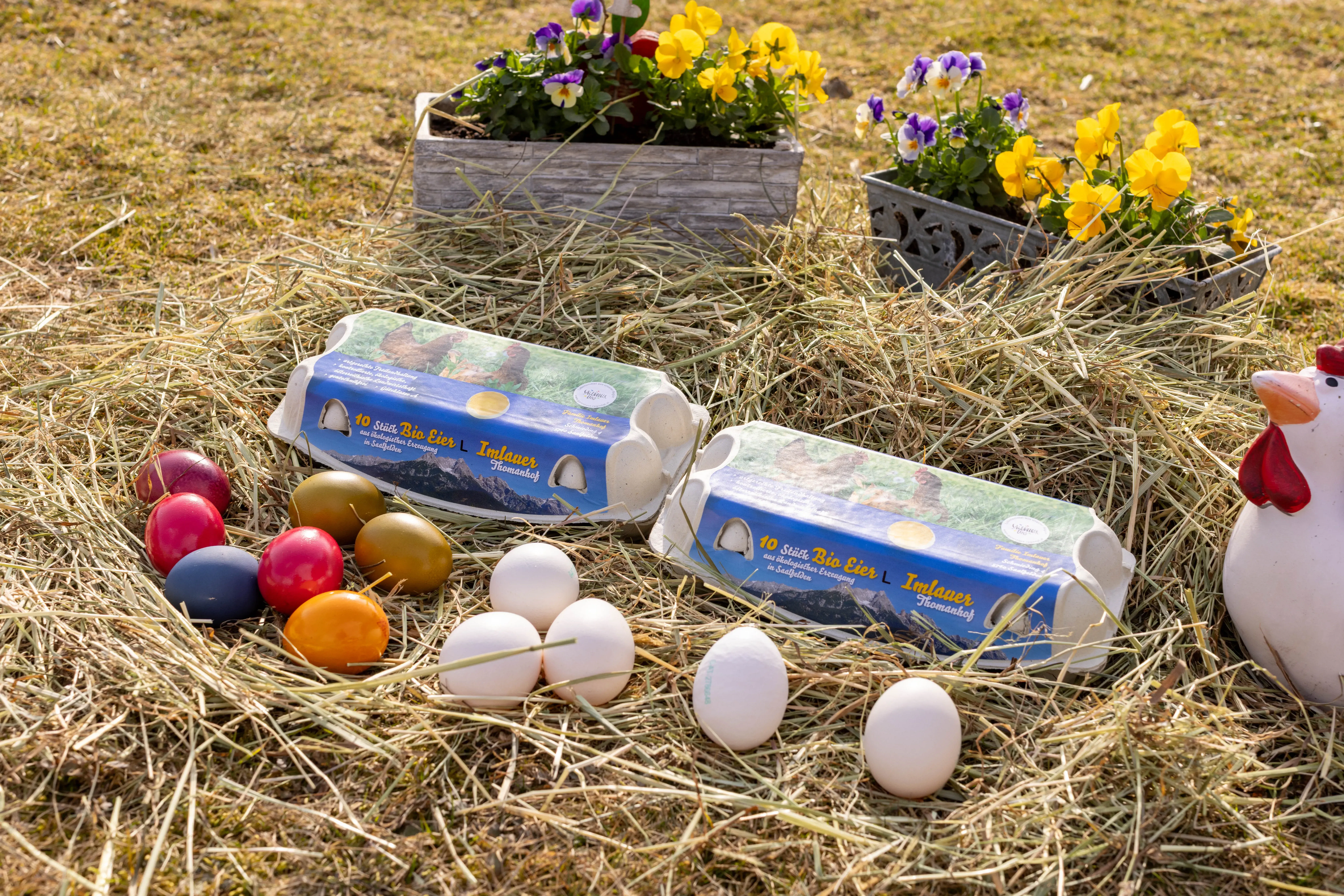 Eier vom Thomanhof - Saalfelden