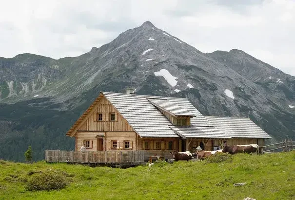 raditionell bewirtschaftet mit Pinzgauer Milchkühen und Tauernschecken-Ziegen – mit eigener Herstellung regionaler Spezialitäten aus dem Pflanzenschutzgebiet Niedere Tauern.
