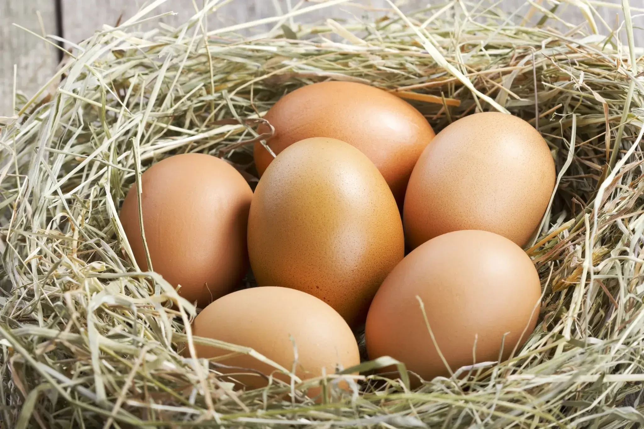 Eier im Heu Putz Ei in Abtenau