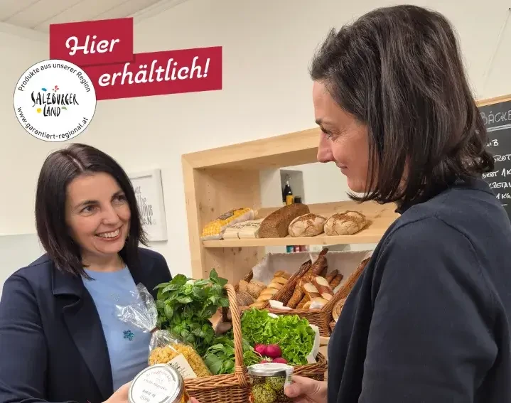 Lisis Speis, Bedienung Hier erhältlich