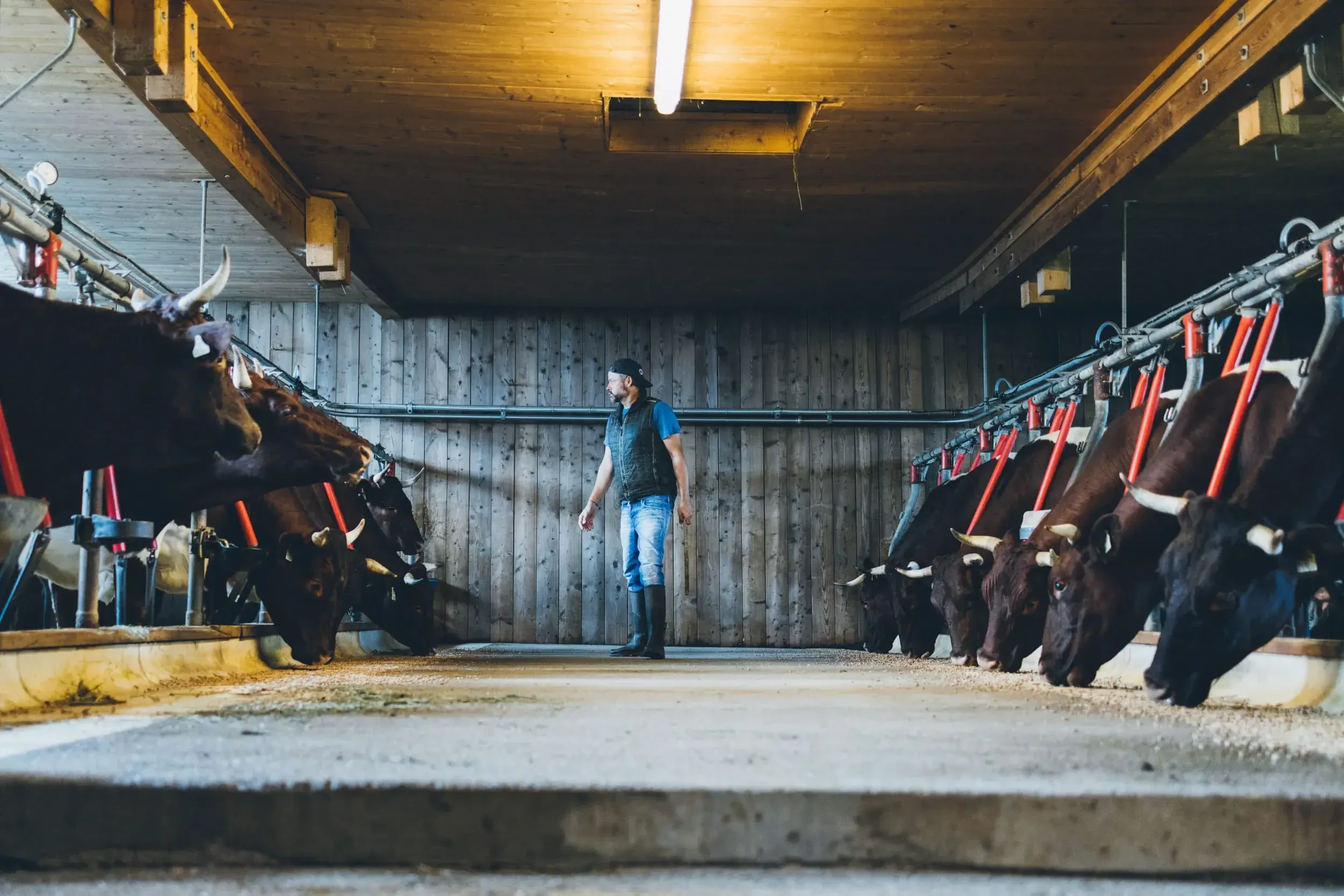 WIESERGUT_Landwirtschaft erleben