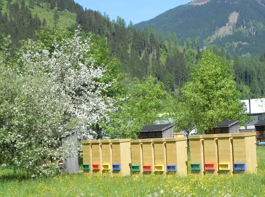 Bioimkerei Herzog Bienenstöcke
