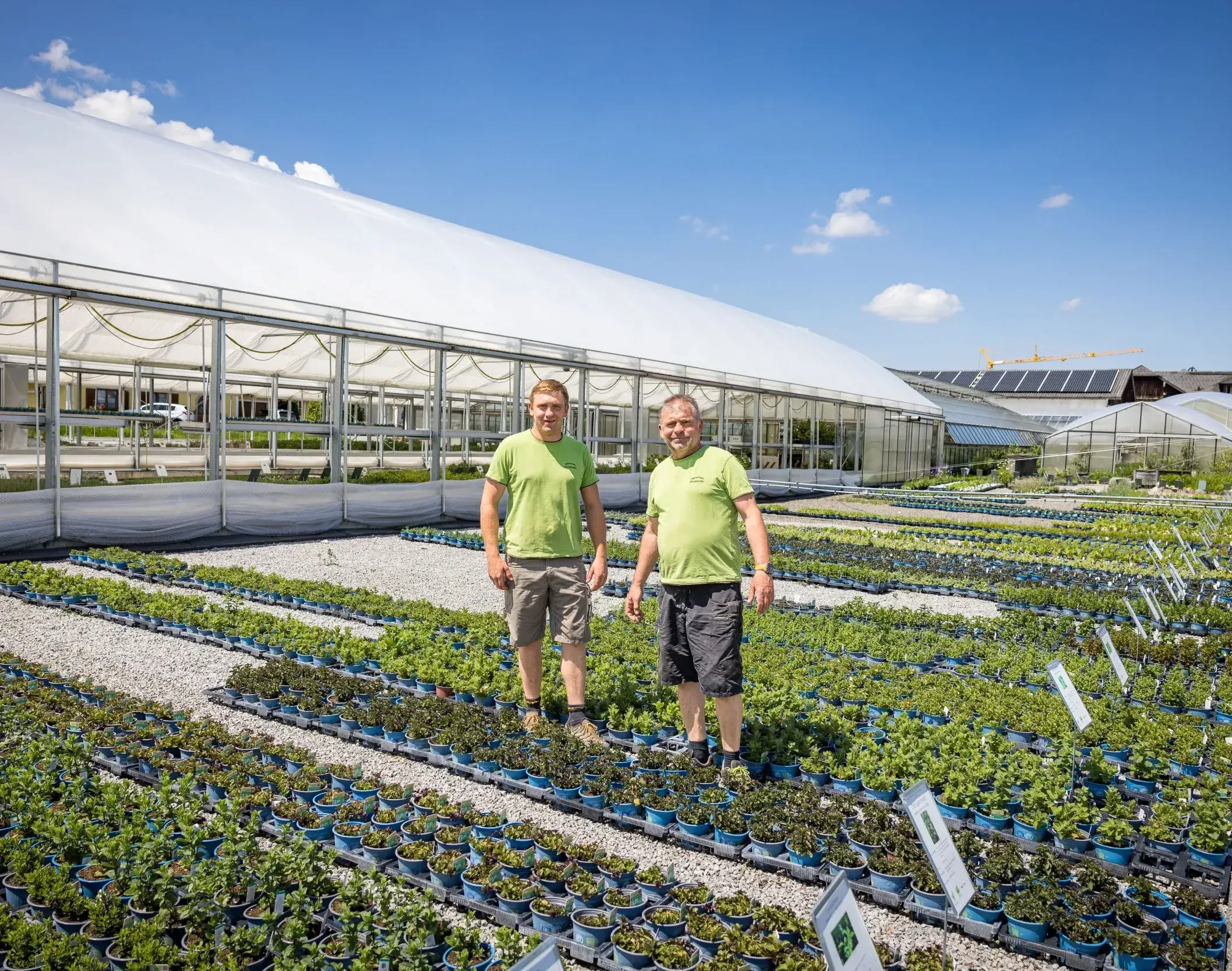 Duo steht im Pflanzgarten Gartenbau Winklhofer