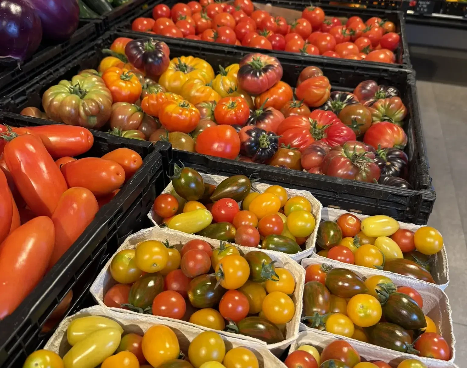 Hofladen Tomaten frisch aus eigener Produktion
