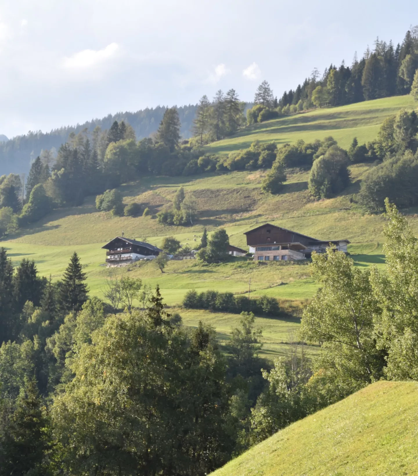 Der Wiesberghof Niedernsill