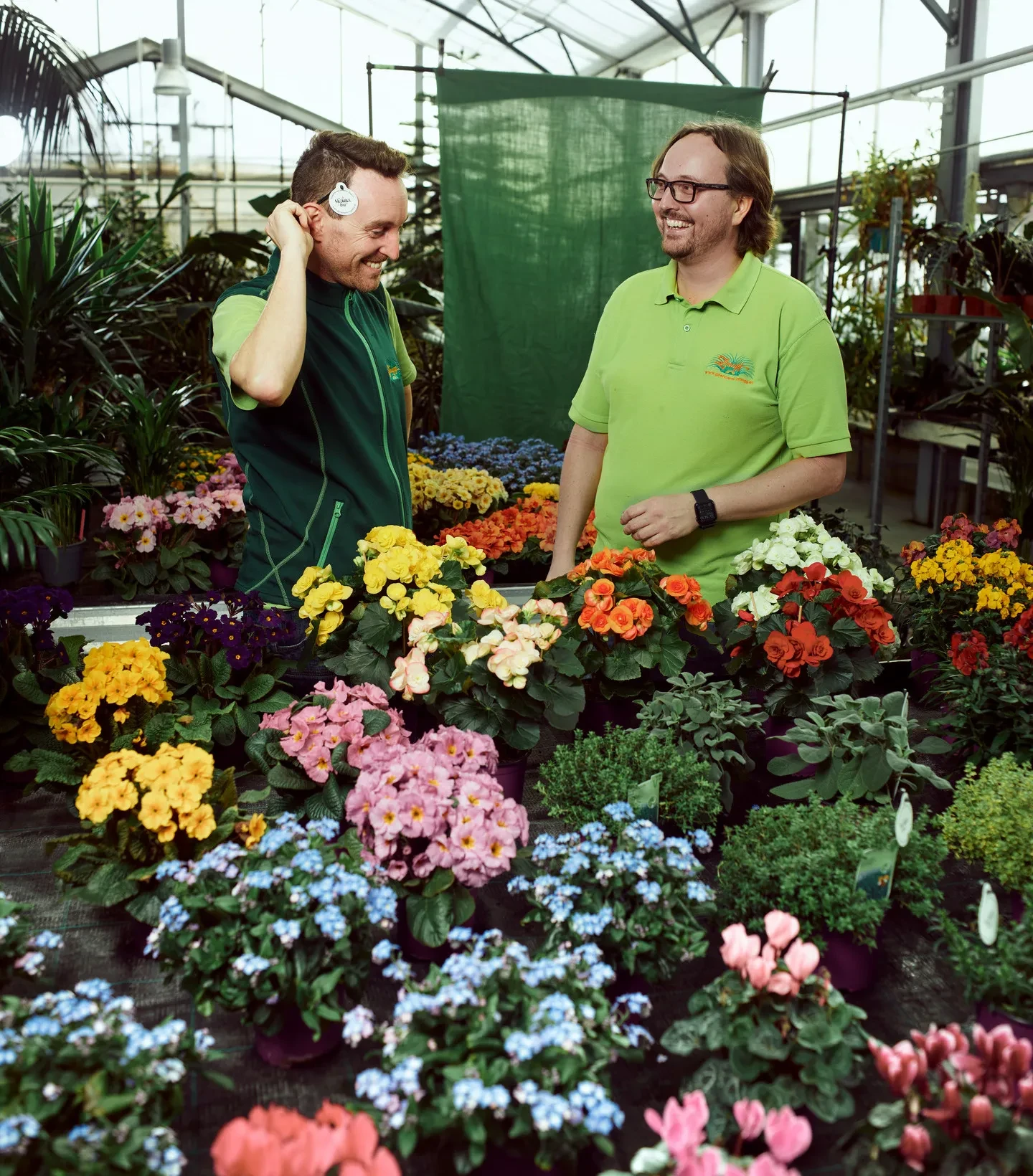 Gärtnerei Zmugg - Georg und Stefan Hintringer im Gewächshaus