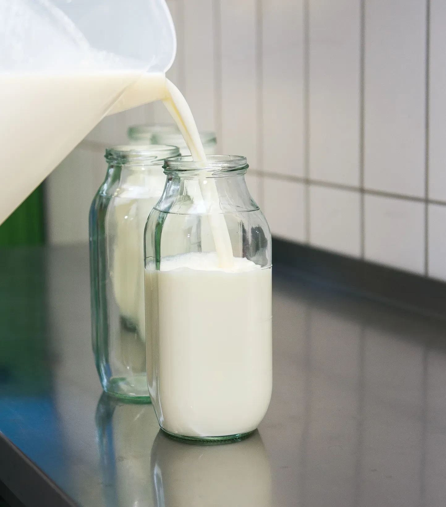 Frische Milch wird in Glasflaschen gefüllt