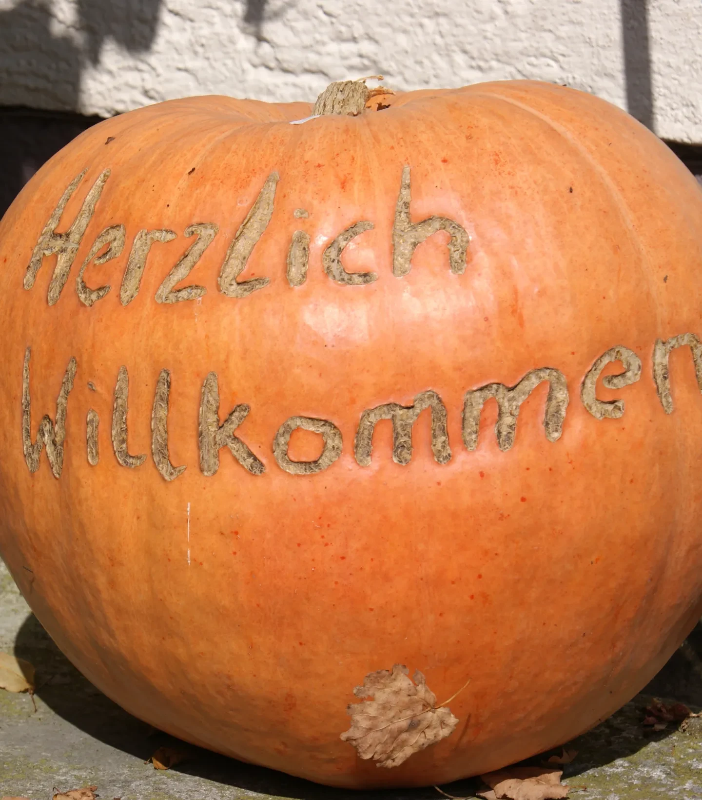 Hallerbauer Wals_Kürbis mit Inschrift Herzlich willkommen