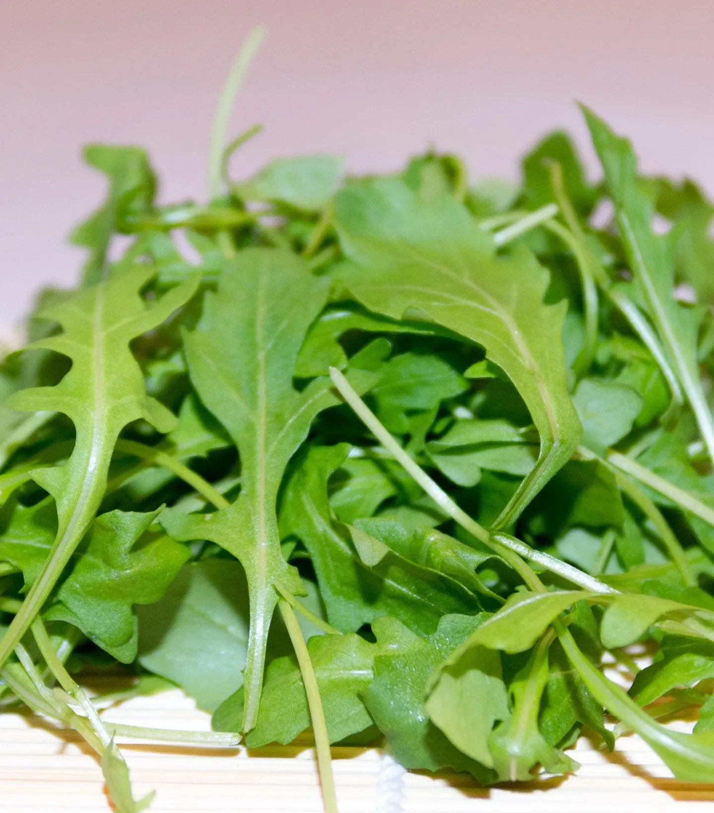 Rucola