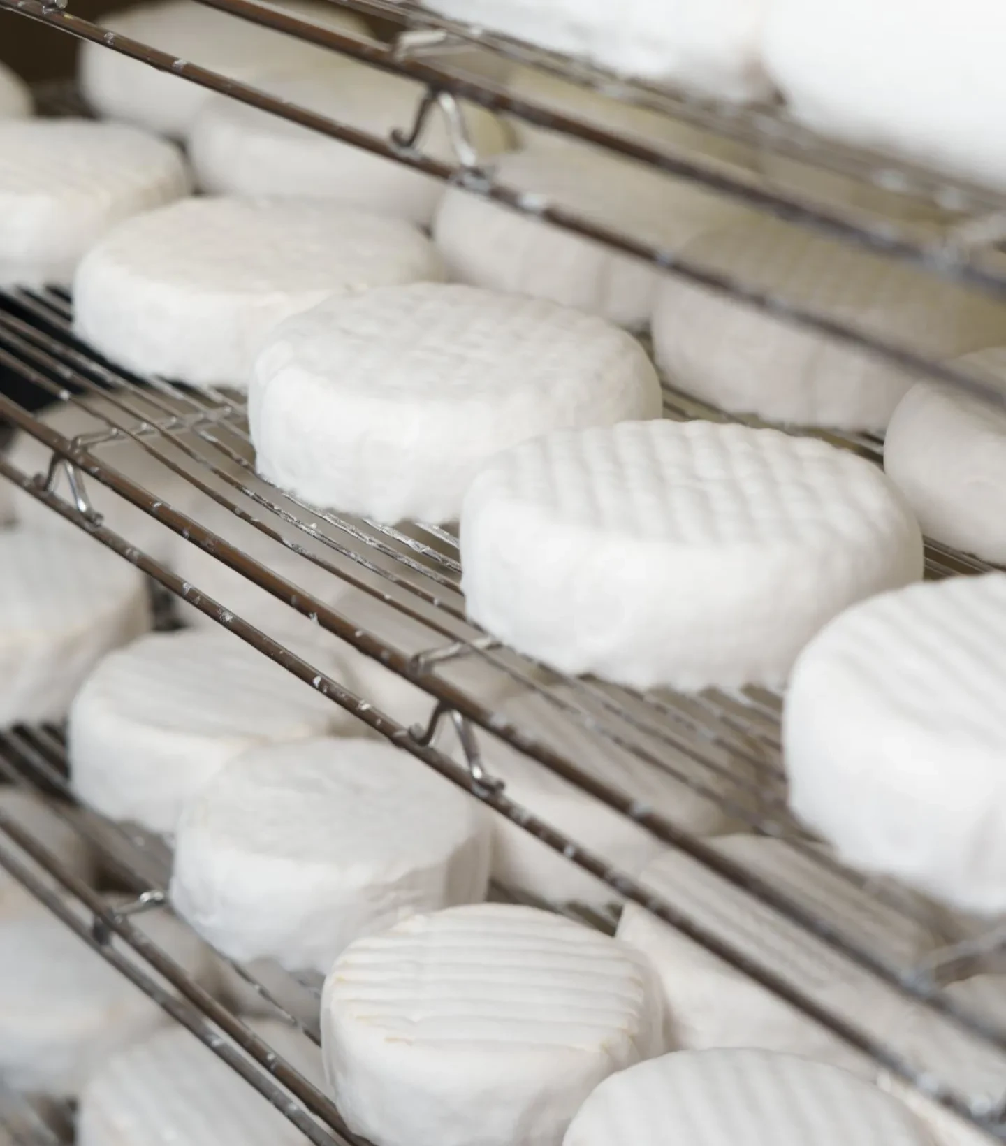 Frischkäse