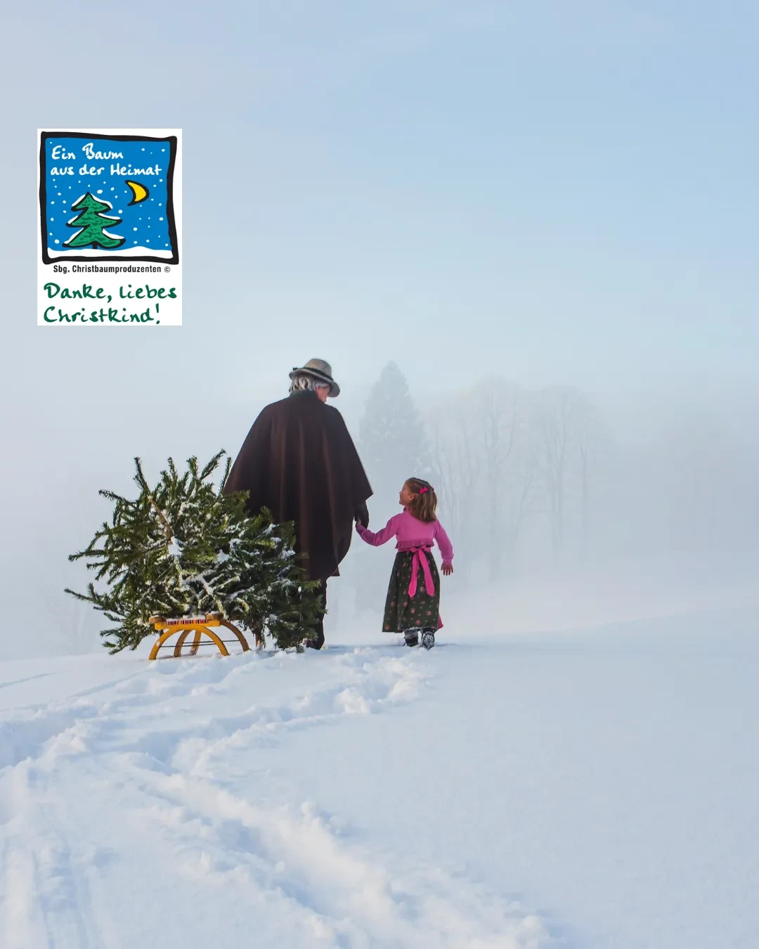 Christbaum aus Salzburg