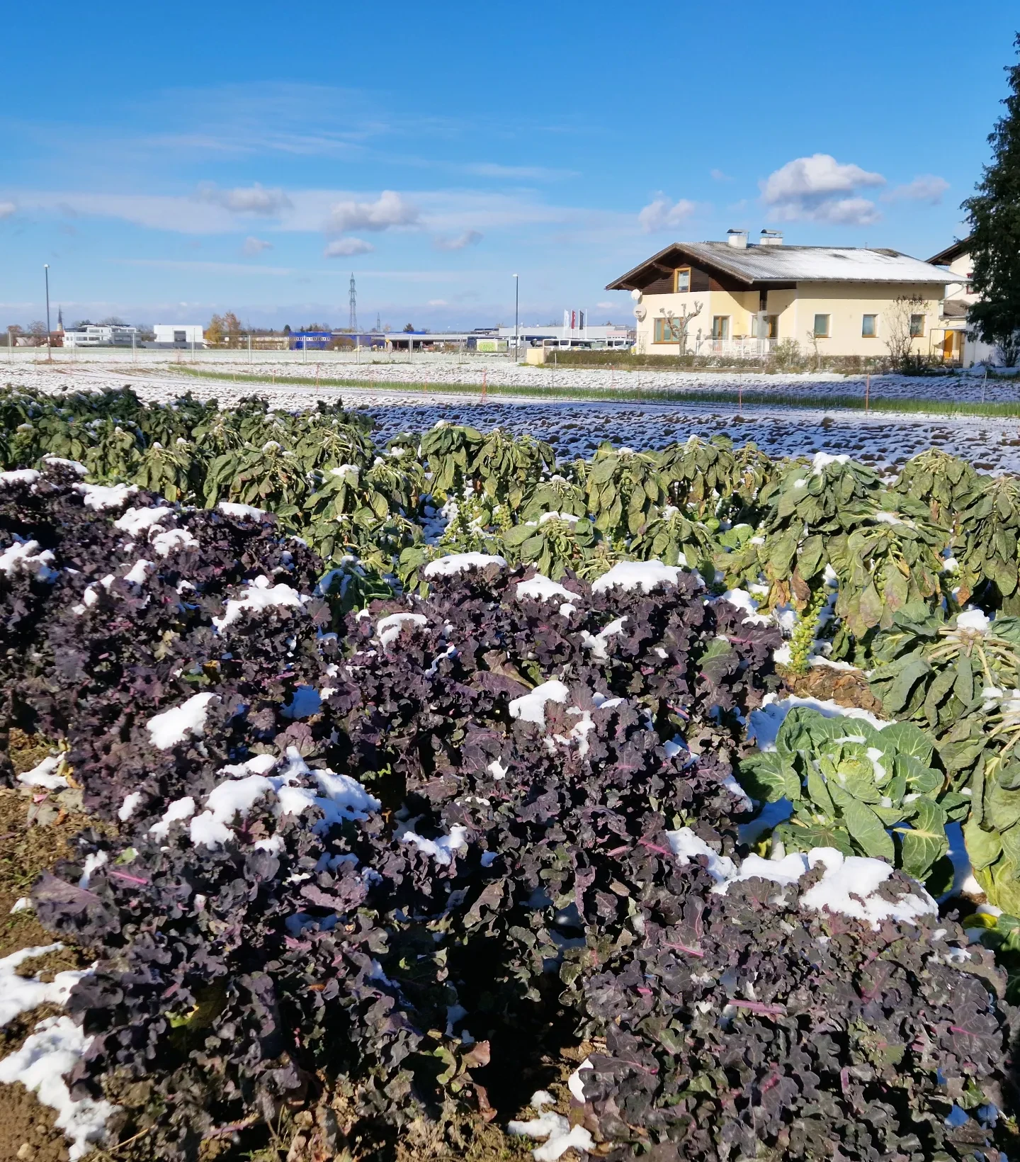 Hofladen Putzhammer_Winter