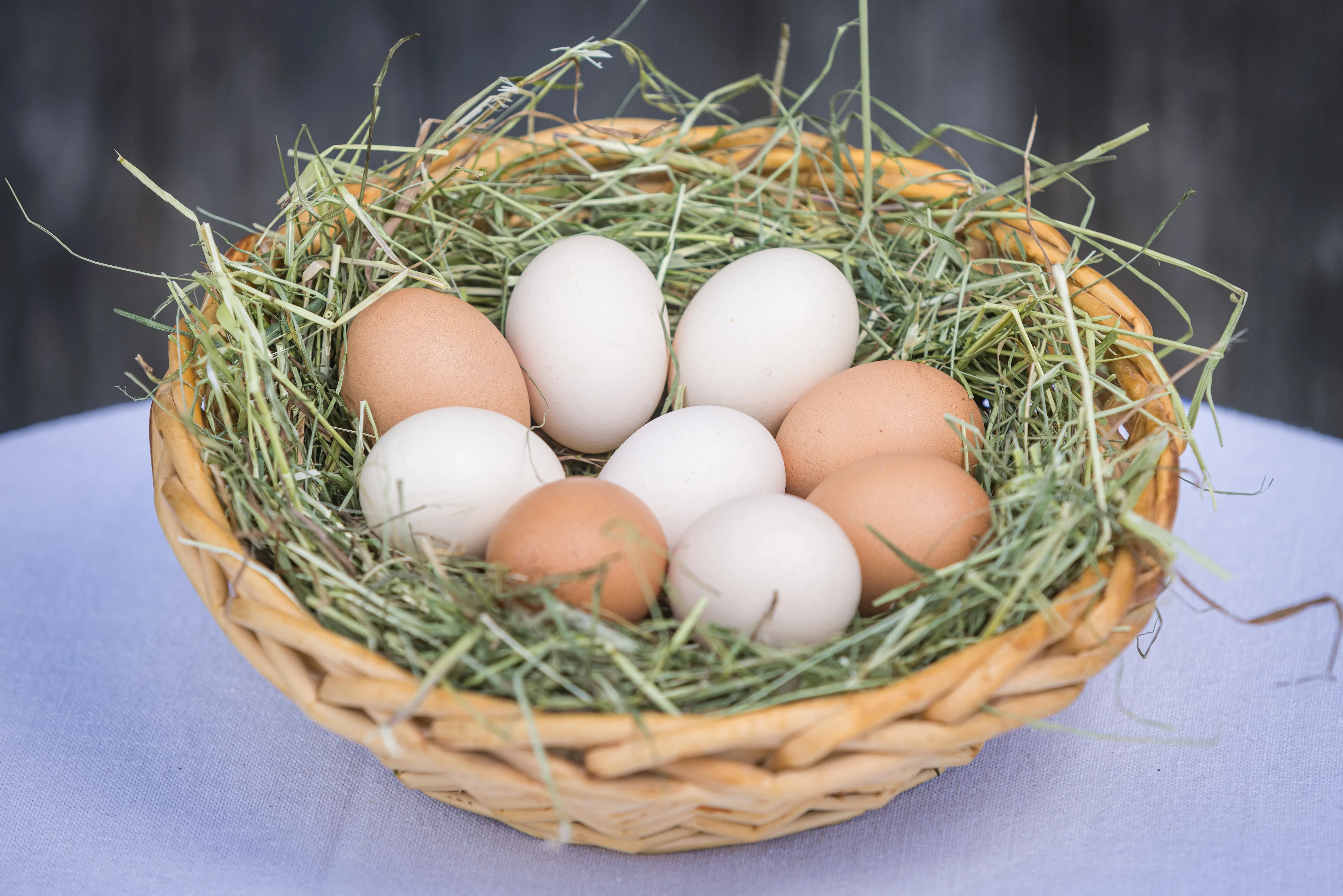 Eier in einem Korb mit Heu