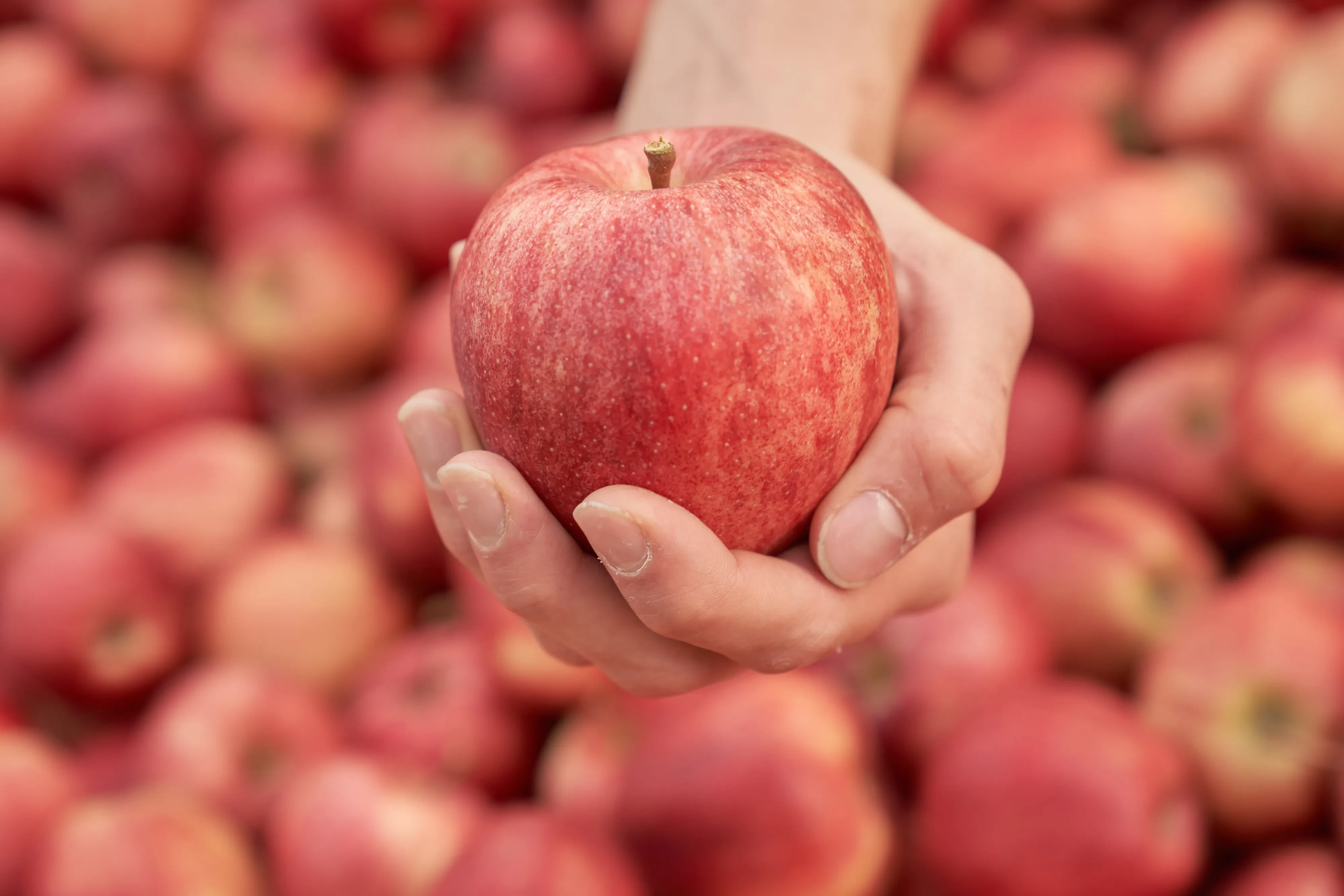 Apfel in der Hand