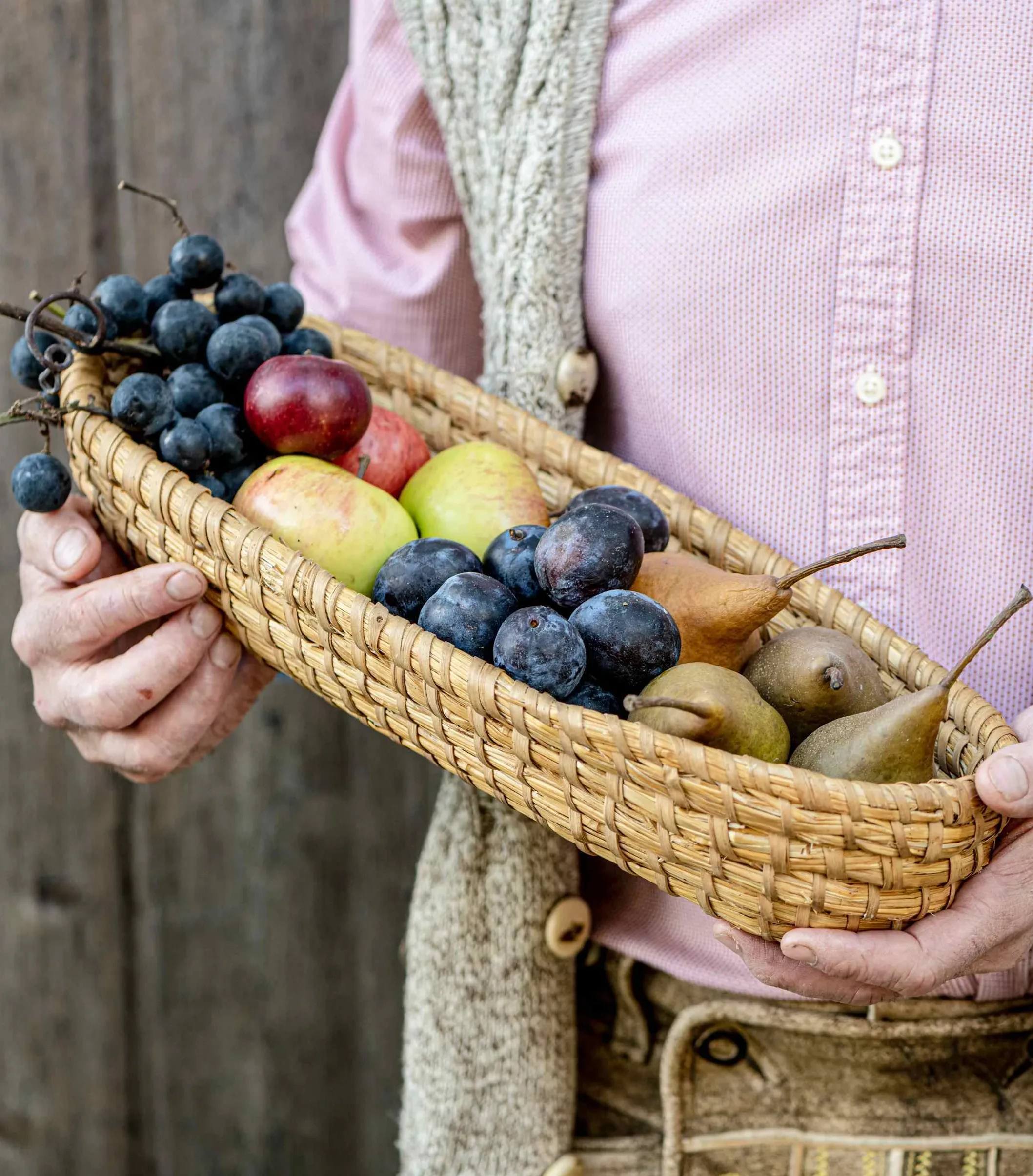 Obstkkorb Zwetschen Birnen Äpfel klein © AMA GENUSS REGION Martina Siebenhandl