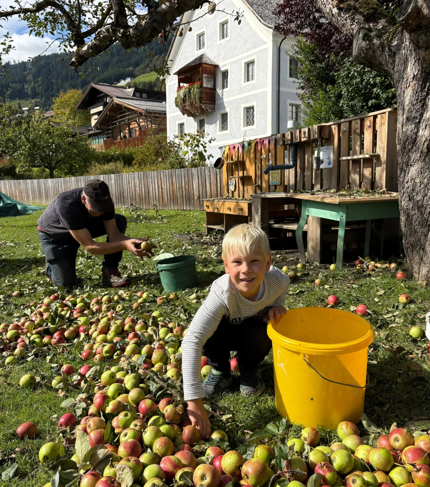 Obstpresse Bramberg_Apfelernte
