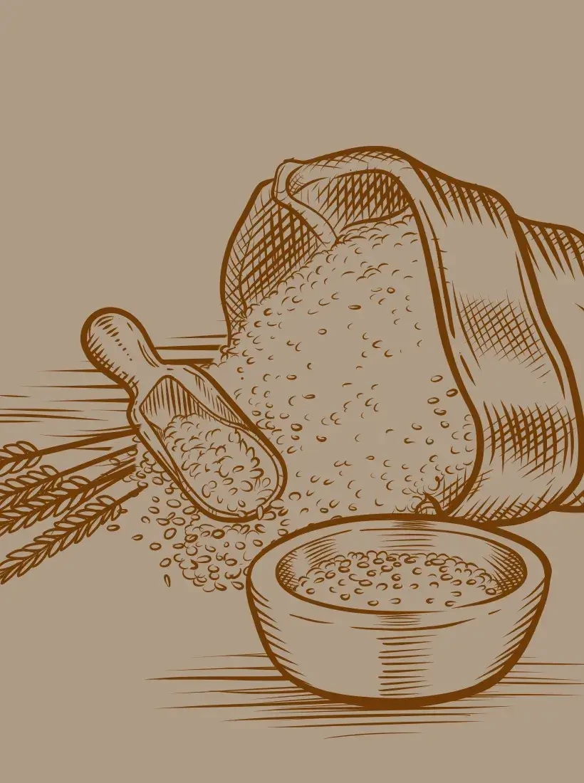 Dinkel (ganzes Korn) von Trimminger  in Tamsweg