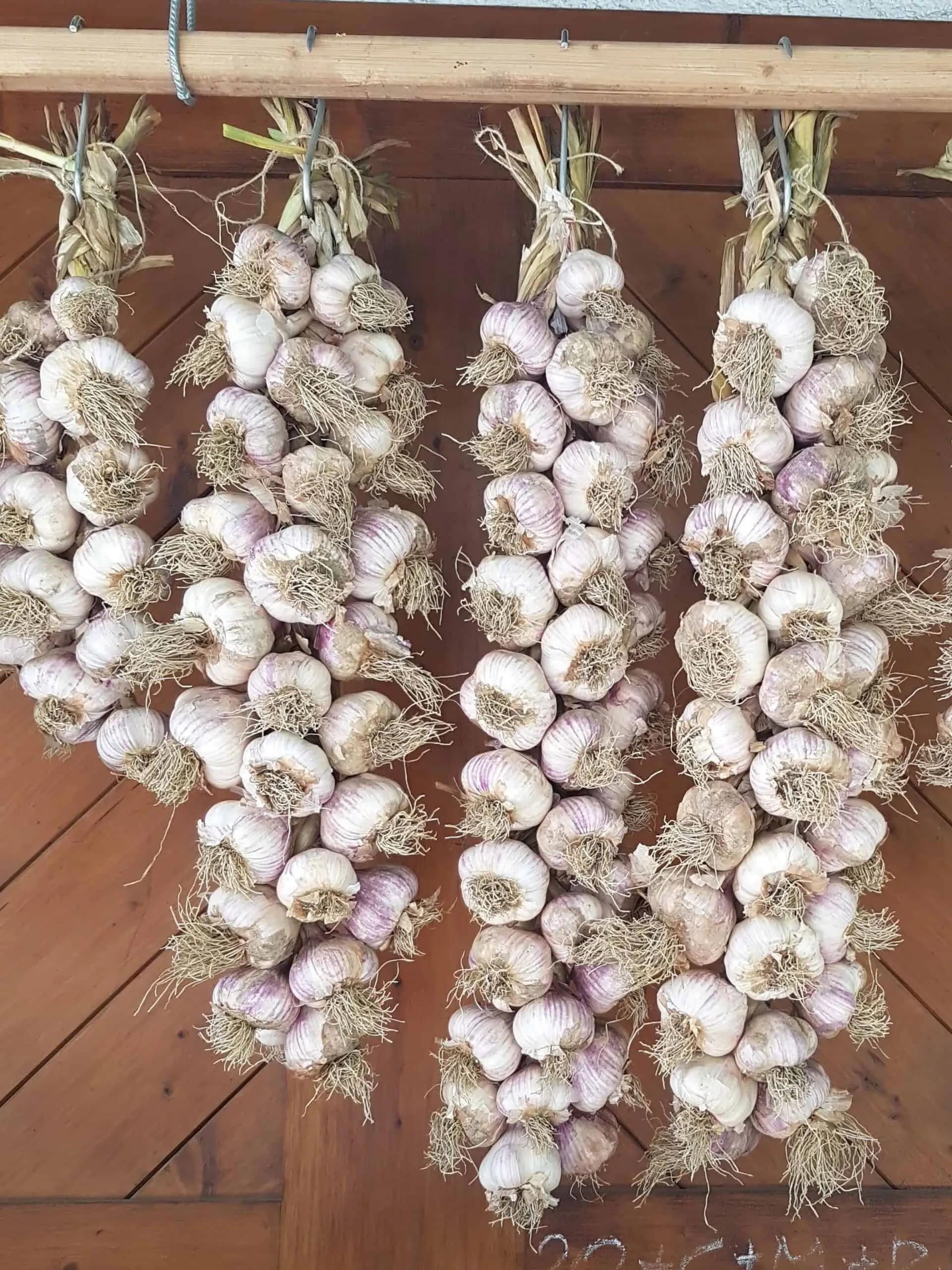 Knoblauch von Gabelmacher in Salzburg