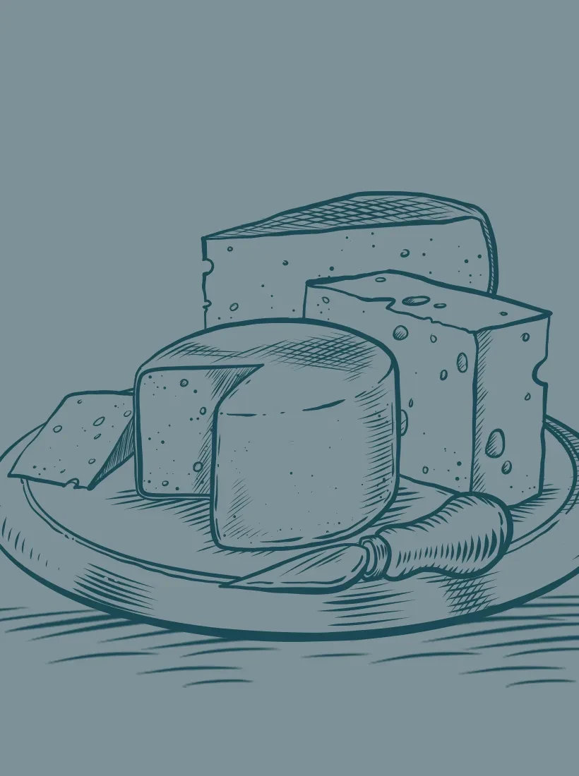 Schnittkäse von Sulzenalm Krahlehenhütte in Filzmoos