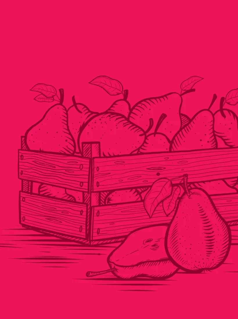 Zuckermelone von Gabelmacher in Salzburg