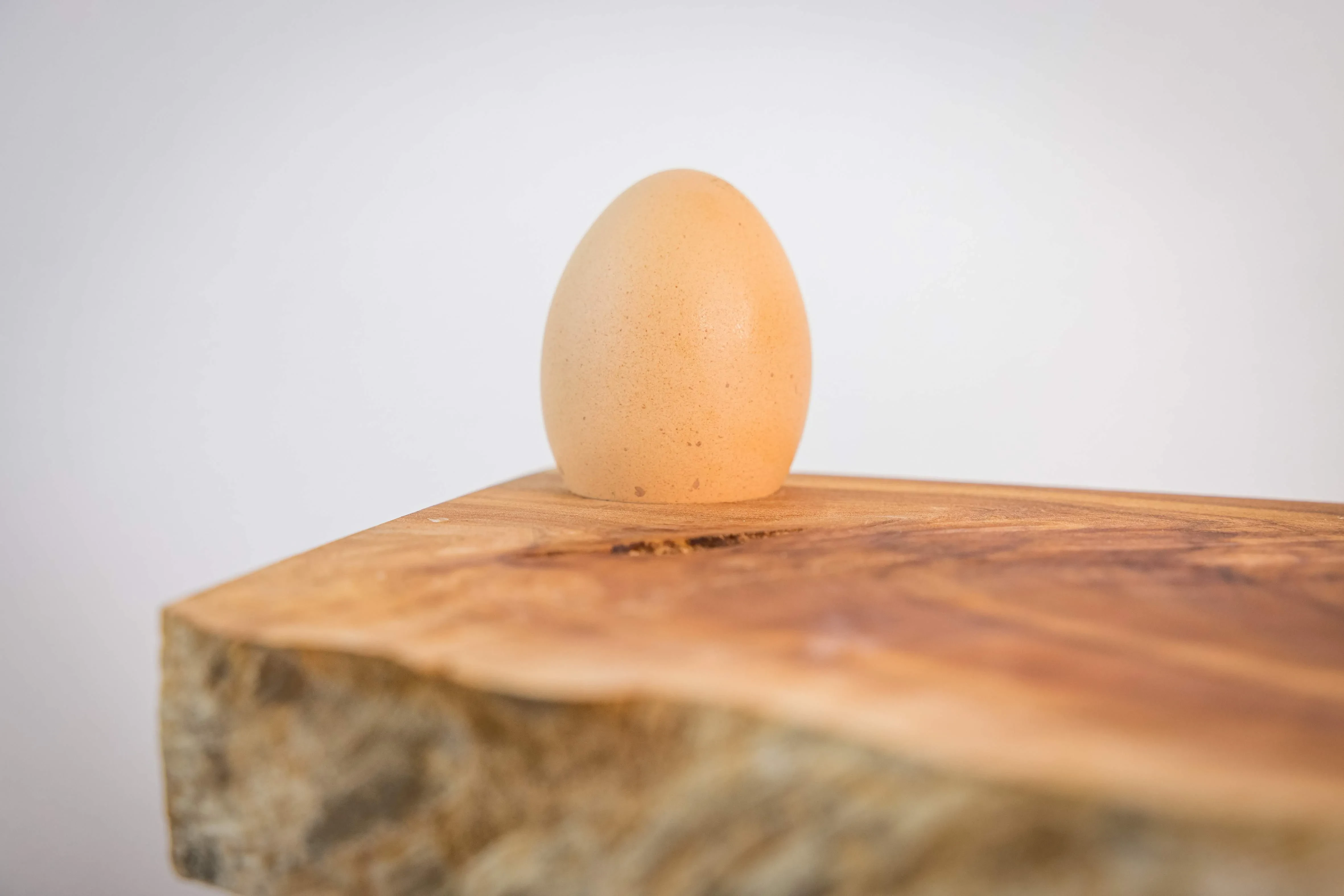 Eier  von Schmetterlingshof in St. Georgen