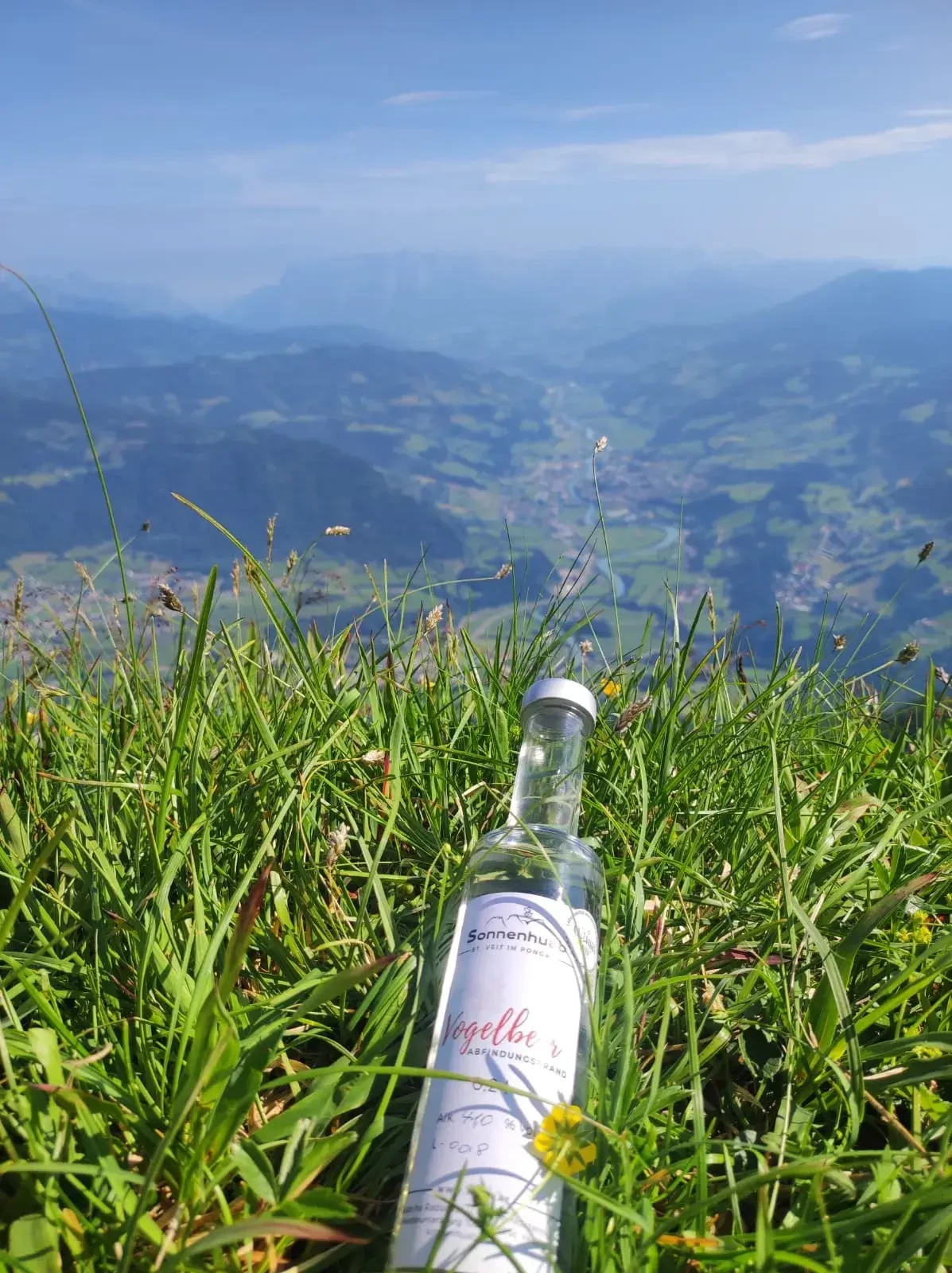 Vogelbeerbrand von Bauernhof Sonnenhuab in St. Veit 