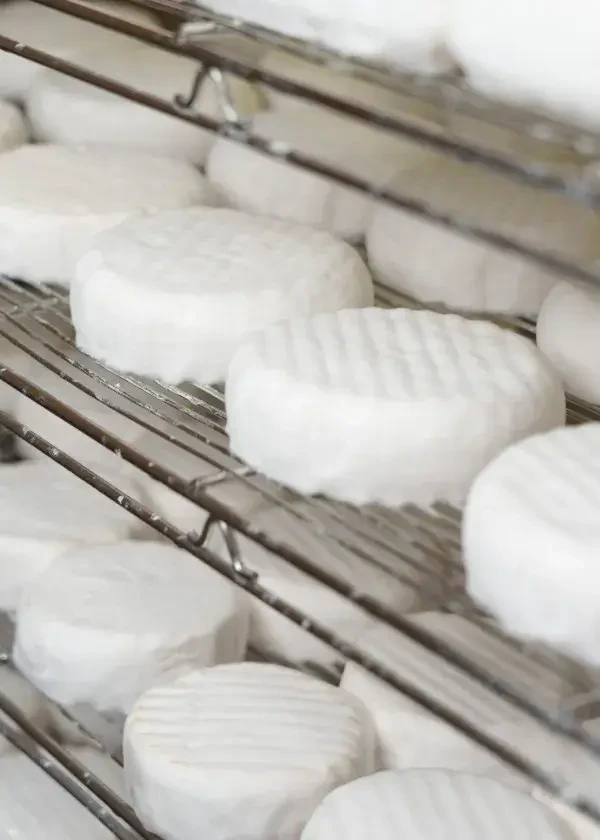 Frischkäse