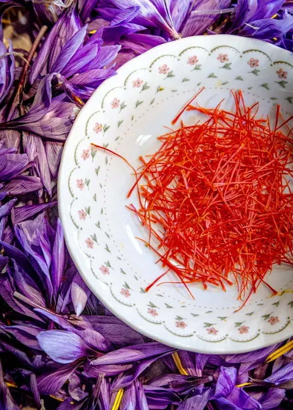 Genusstagebuch #58_Safran