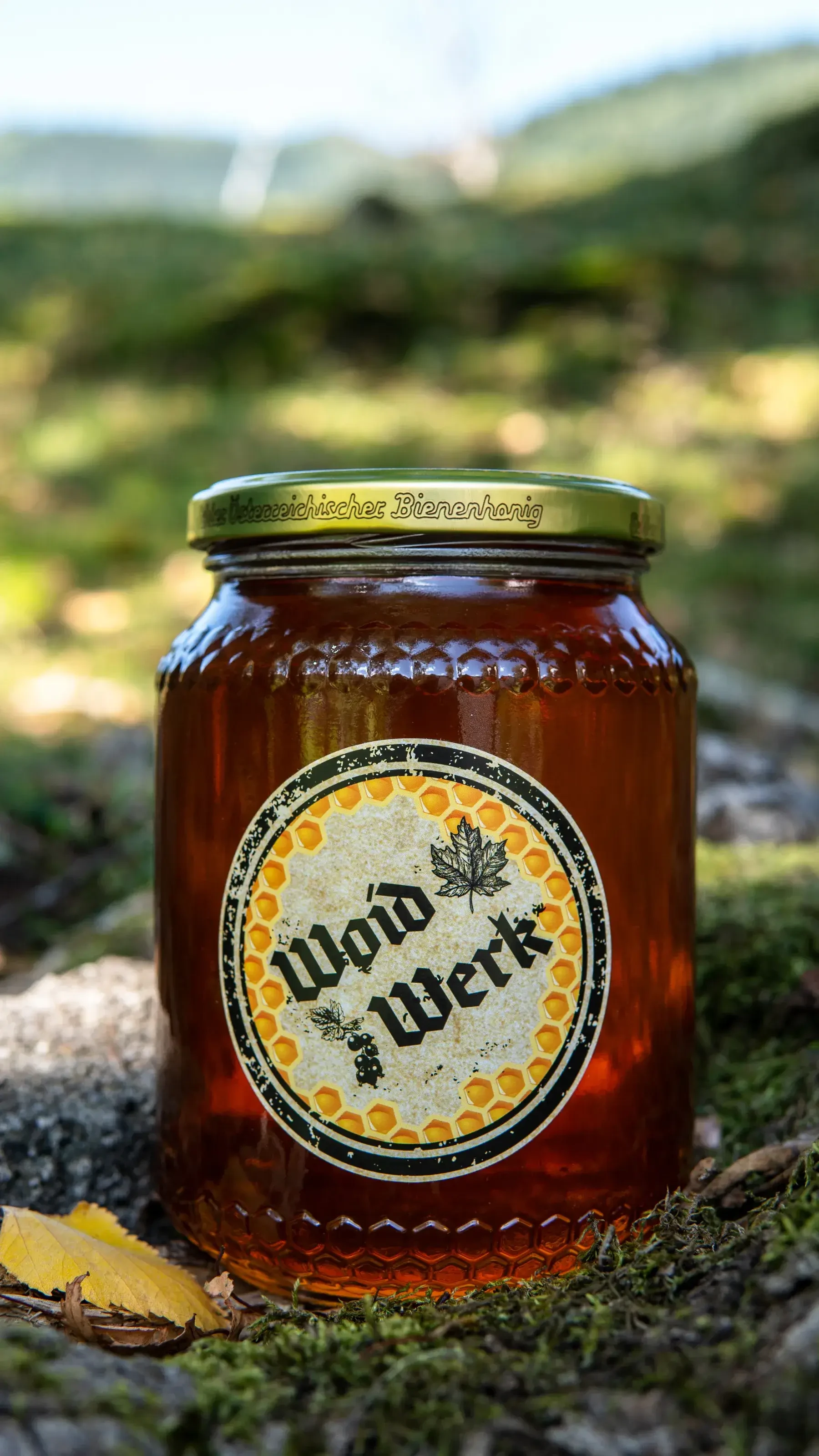 Waldhonig von Woidwerk  in Gries