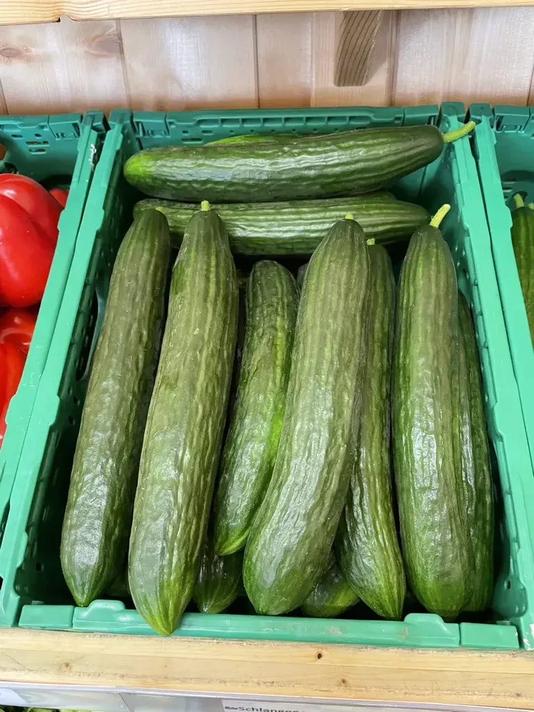 Gurke von Biohof Pertiller Oberwimmpoint in Eugendorf