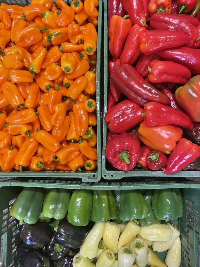 Paprika von Biohof Pertiller Oberwimmpoint in Eugendorf