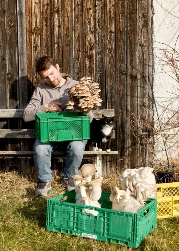 Flachgauer Biopilze_Andreas Eibl_Teaser