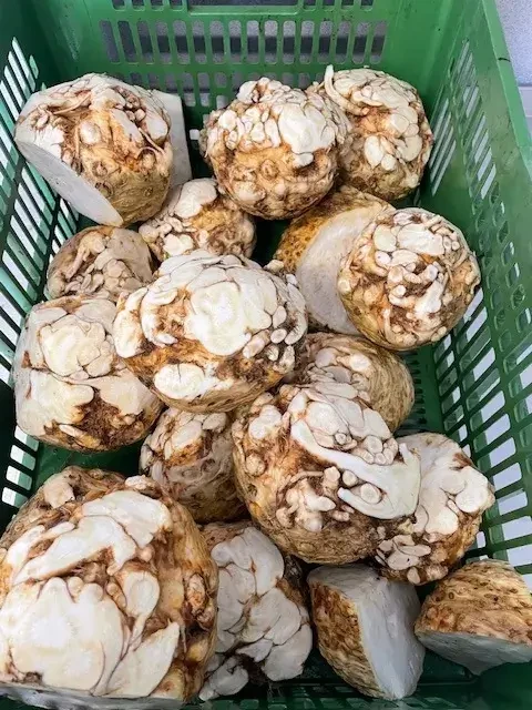 Knollensellerie von Biohof Pertiller Oberwimmpoint in Eugendorf