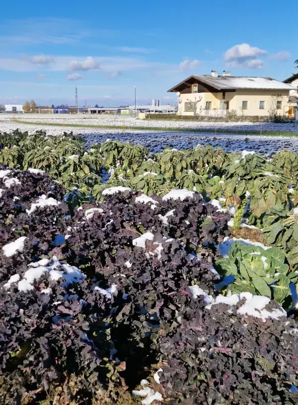 Hofladen Putzhammer_Winter