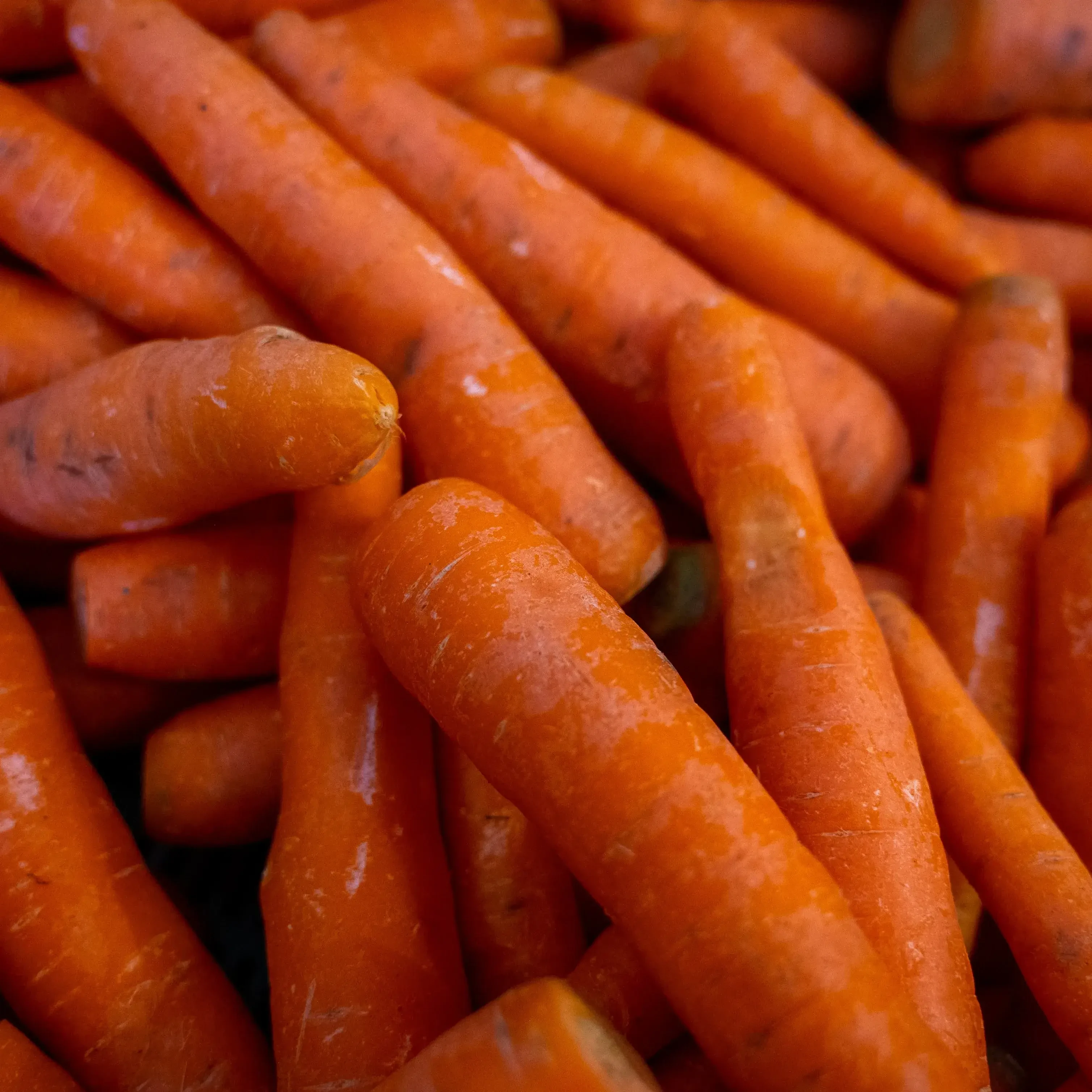 Karotten von Gabelmacher in Salzburg