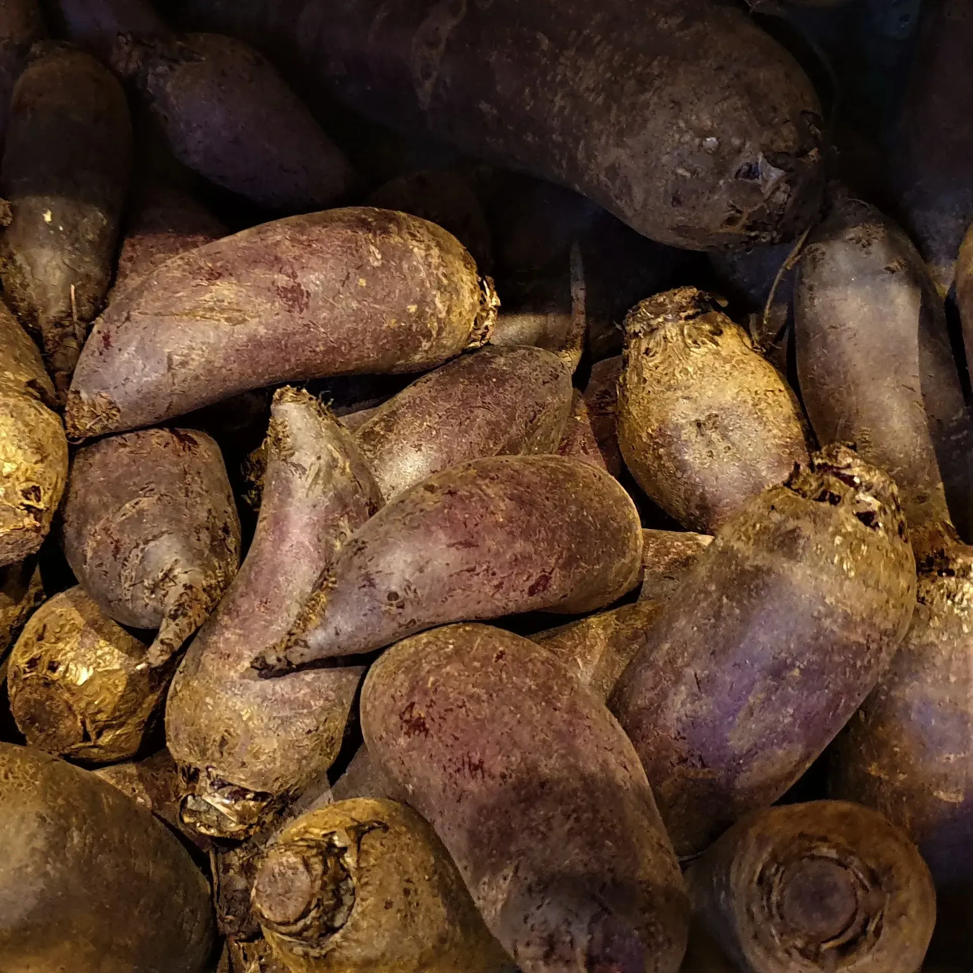 Rote Rüben von Gabelmacher in Salzburg