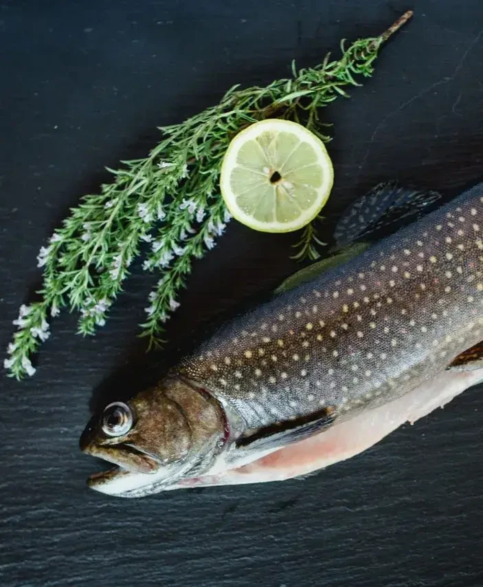 Saibling von Ennsmanngut in Unken