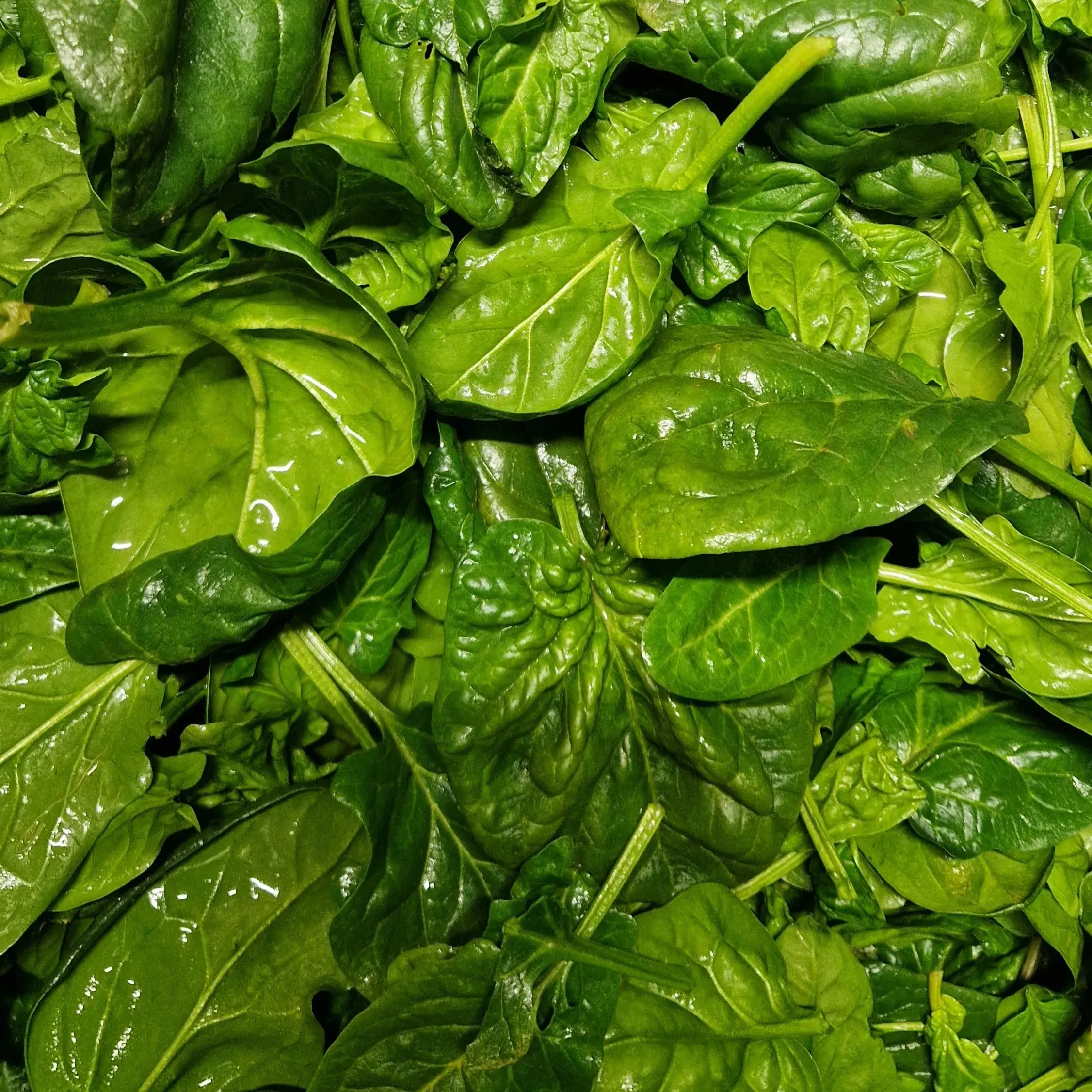 Spinat von Gabelmacher in Salzburg